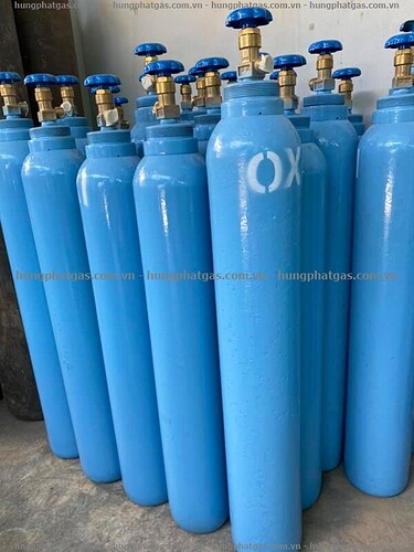 binh-oxy-10-lit-1