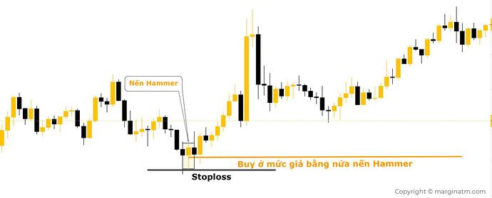 mô hình nến hammer
