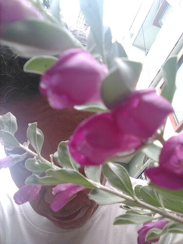 IMG_20230828_163534_908