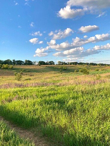 FB_IMG_1746149833549