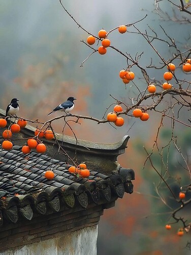 FB_IMG_1738334477255