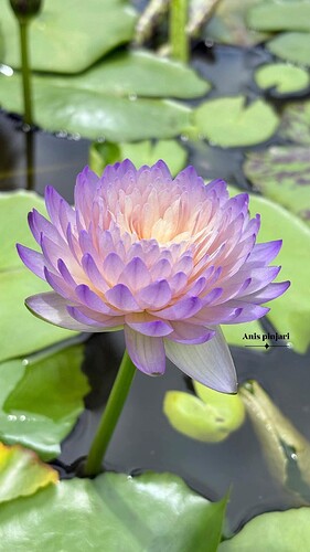 FB_IMG_1759887867284