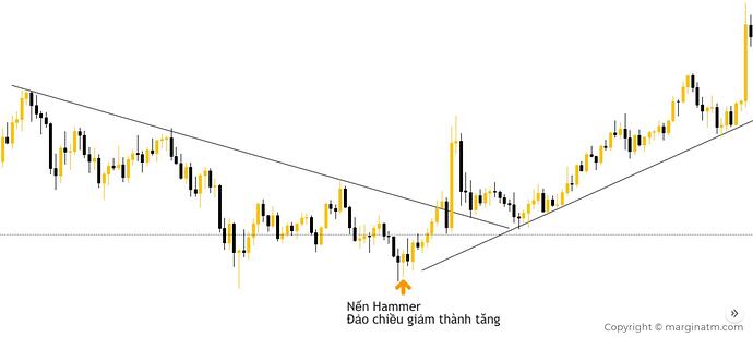 mô hình nến hammer