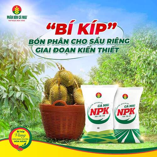 pbcm-_bài-seo_bkbonphansaurienggiaidoankienthiet