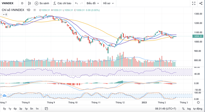 Ảnh màn hình 2023-02-20 lúc 8.31.50 SA