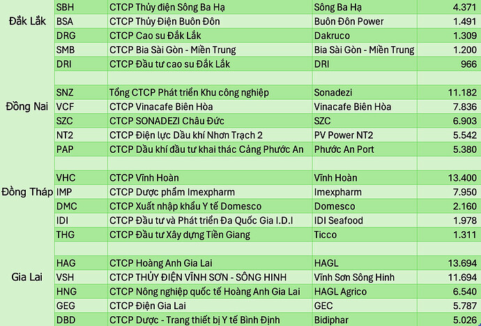Lộ diện những công ty lớn nhất trên sàn của mỗi 34 tỉnh thành sau sáp nhập: 7 DN lớn nhất nước đều ở Hà Nội, nhiều tỉnh không có DN nào trị giá nghìn tỷ- Ảnh 4. Lộ diện những công ty lớn nhất trên sàn của mỗi 34 tỉnh thành sau sáp nhập: 7 DN lớn nhất nước đều ở Hà Nội, nhiều tỉnh không có DN nào trị giá nghìn tỷ- Ảnh 4.