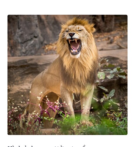 Screenshot_20240415-003854~2