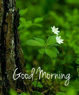 z4573423518582_f5ad6a51f59b18415de3dfcf8d6f8a15