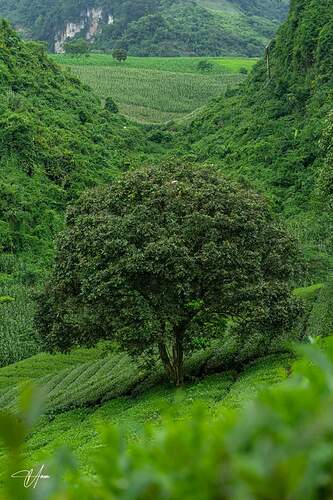 FB_IMG_1731764640691