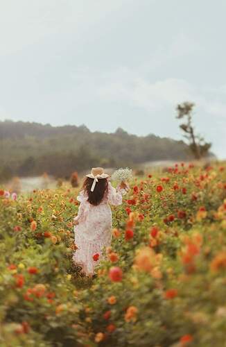 FB_IMG_1701181337653