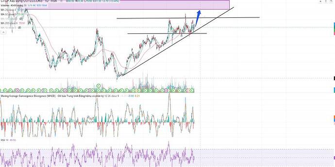 CTD GÃ KHỔNG LỒ VỮNG CHÃI GIỮA GIÔNG BÃO THỊ TRƯỜNG. Trong bối cảnh thị trường chung đang có những nhịp ...
