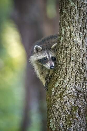 FB_IMG_1693451033444