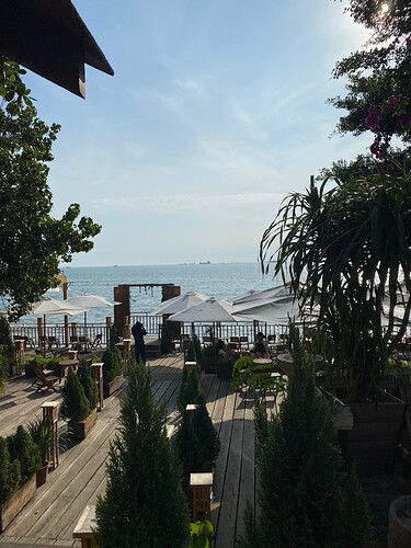 z4955049255852_ccbda09c07c4ced58f3e72a95727b721