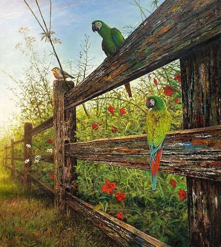 FB_IMG_1736246287208