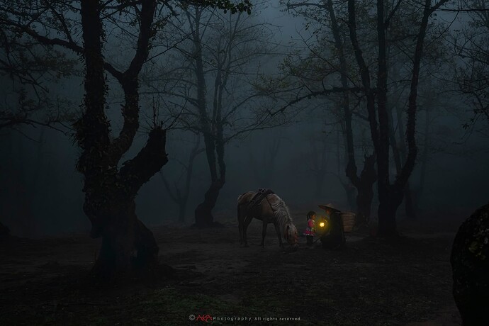 FB_IMG_1773053365956