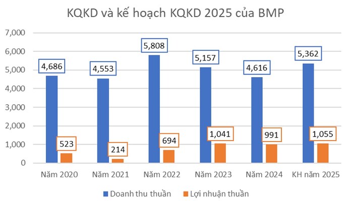 CẬP NHẬT THÔNG TIN VỀ KQKD QUÝ 1 VÀ KẾ HOẠCH 2025 CỦA BMP. 1, Tóm tắt luận điểm đầu tư từ khuyến nghị ...