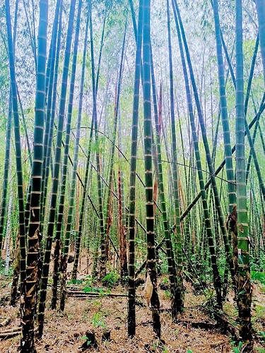 FB_IMG_1759075018090