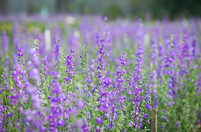 Screenshot_2024-01-25-16-10-23-877-edit_com.facebook.katana