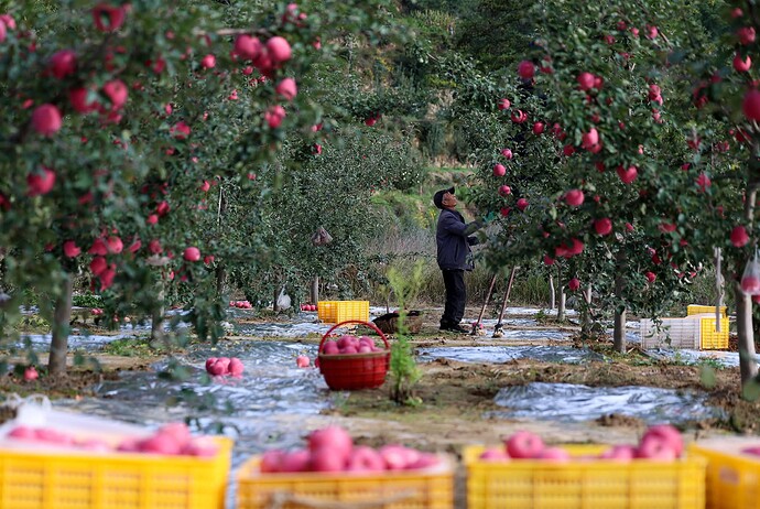 FB_IMG_1760245411130