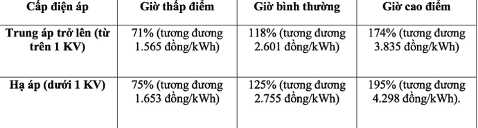 Chính phủ ban hành quyết định quan trọng liên quan đến 150.000 trạm sạc xe điện VinFast