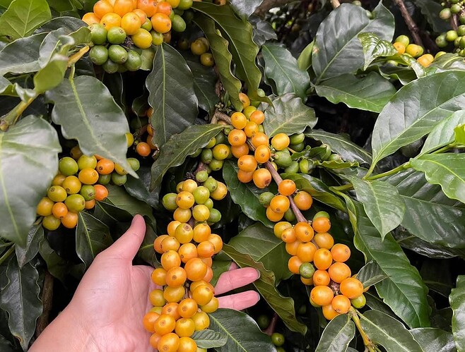 FB_IMG_1754636723728