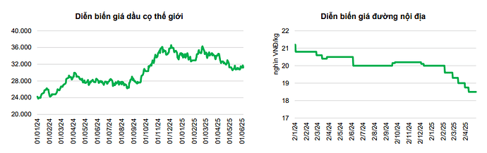 Ảnh chụp màn hình 2025-06-15 163605