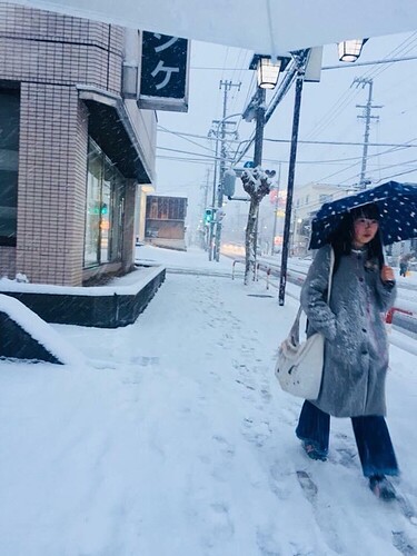 e50893d1b61a6044390b