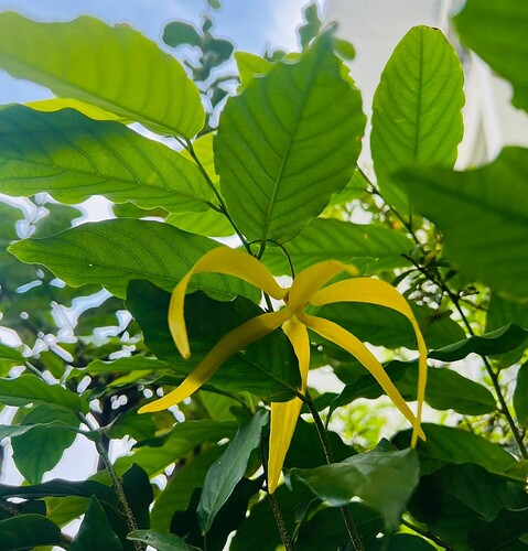 FB_IMG_1750812839595