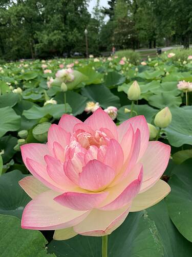 ba791efd759cda4661b00de8aa411872