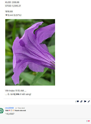 ảnh