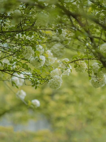 FB_IMG_1747387642719