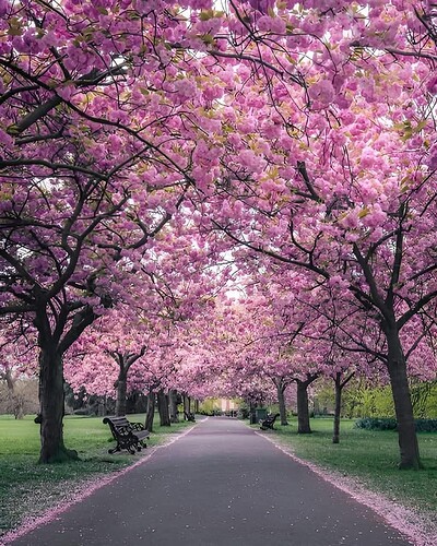 FB_IMG_1743551585947