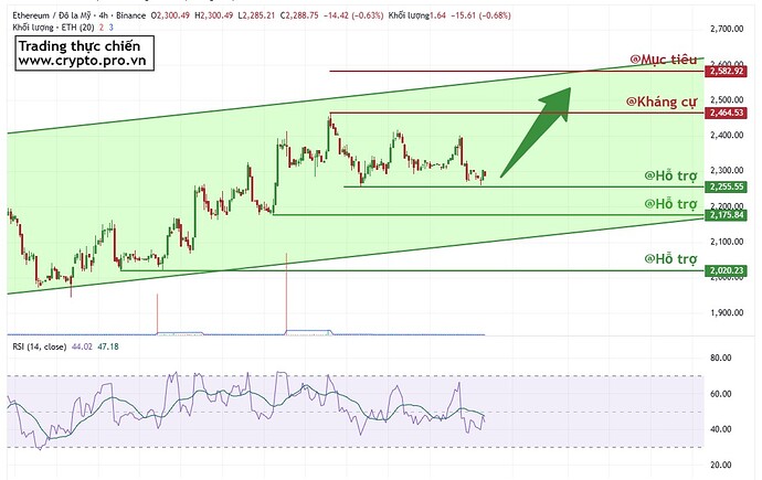 PL-Academy-Chart-1777419979656
