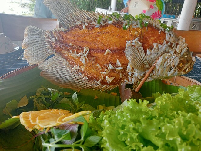 inbound8704698734059545016