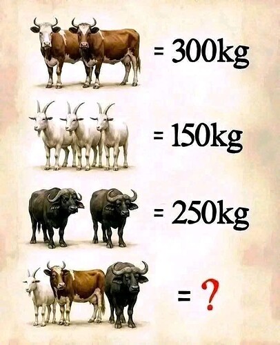 IMG_1765943355539_1765943369222