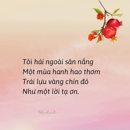 FB_IMG_1741239777791