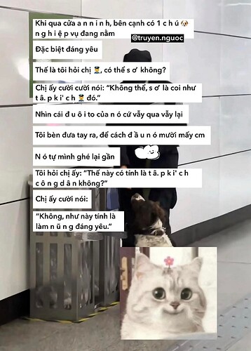 FB_IMG_1769436826879