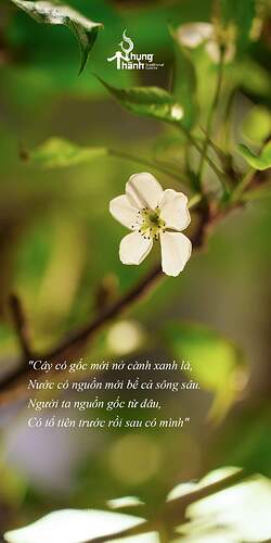 FB_IMG_1713367054476