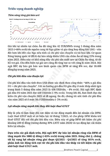 BPC - Báo cáo phân tích DPM (1)