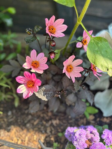 FB_IMG_1754435753162