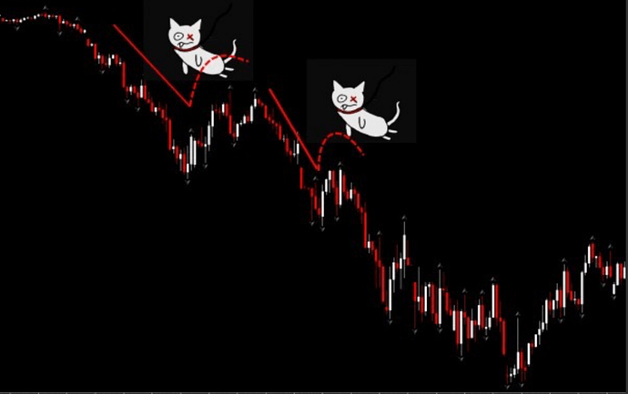 スクリーンショット 2024-07-09 140850