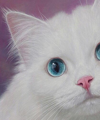 FB_IMG_1746499714726