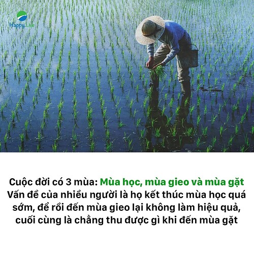 FB_IMG_1740409106774