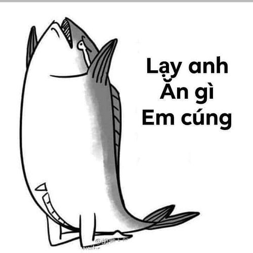 anh-meme-lay-sieu-hai-huoc_100742298