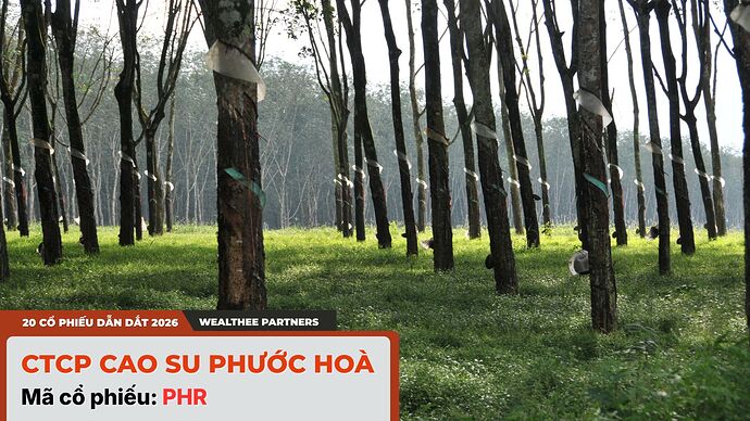 CAO SU PHƯỚC HOÀ MÃ CỔ PHIẾU PHR