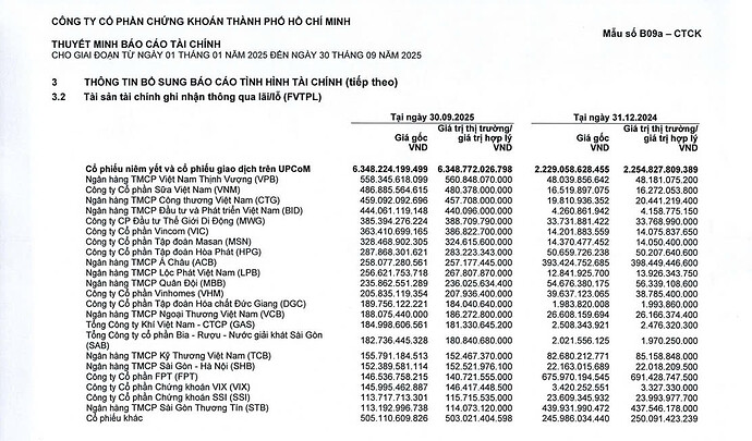 ( Quý 3: Theo báo cáo tài chính của HCM )
