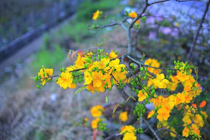 FB_IMG_1705930598718