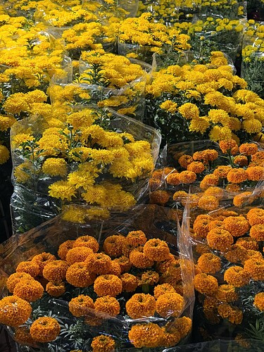 z7540095316856_6f292b37629f0b576b228cd3ae41443f