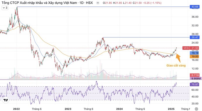 VCG - Cơ hội lớn từ "câu chuyện" đầu tư công trong năm 2025. 1. Tổng quan về VCG. 2. Cơ hội đầu tư VCG ...