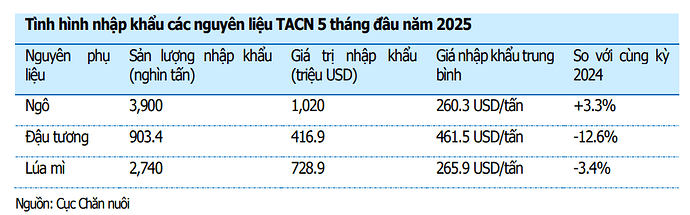 Ảnh chụp màn hình 2025-07-27 153301